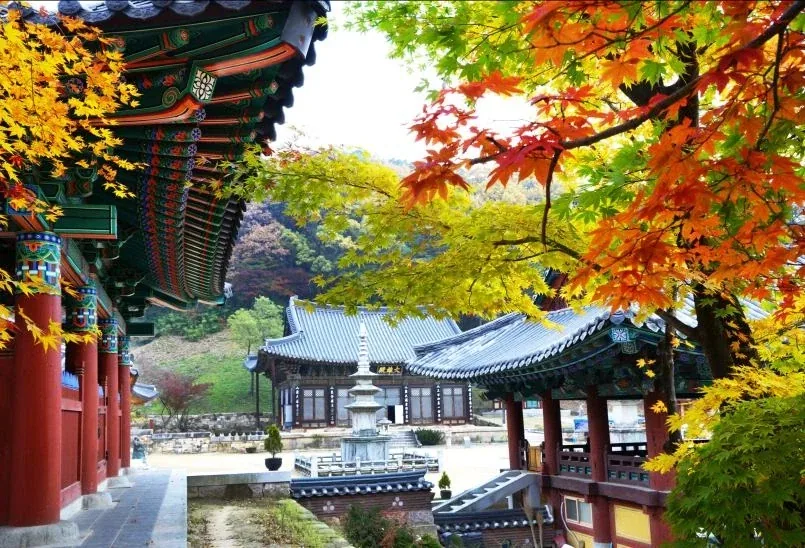불교가 포교랍시고 사람 귀찮게 안하는 이유.jpg_5.webp