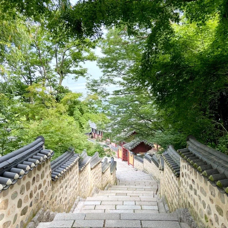불교가 포교랍시고 사람 귀찮게 안하는 이유.jpg_10.webp