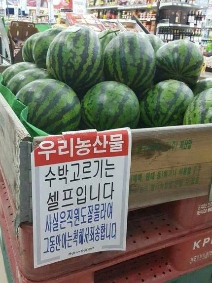 농협 직원이 알려주는 수박 고르기 꿀팁_1.webp
