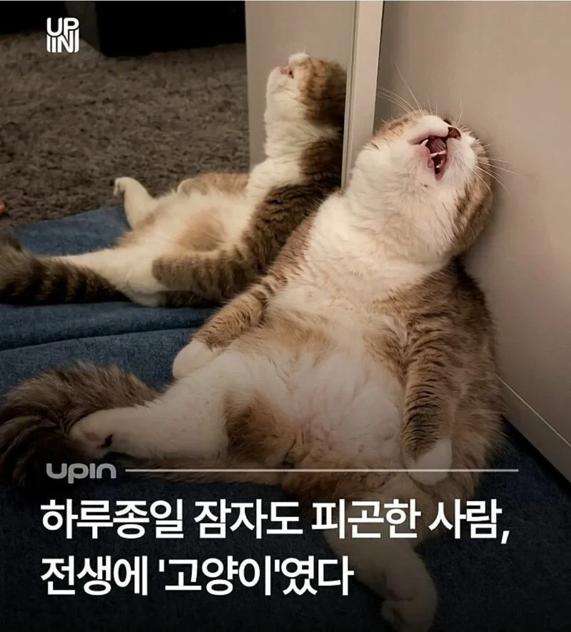 하루종일 자도 피곤한 이유_1.webp