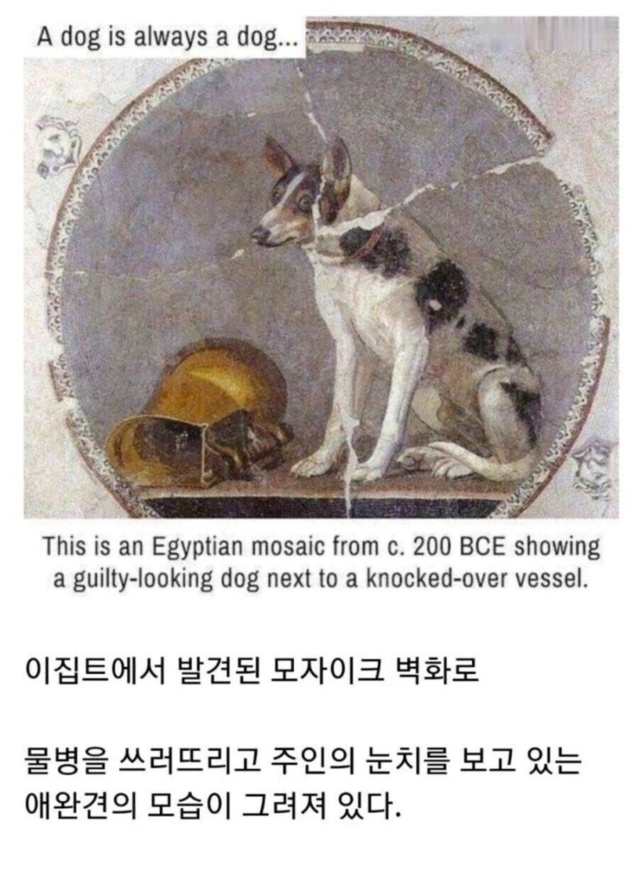 2천년 전 댕댕이 그림 특징_1.webp