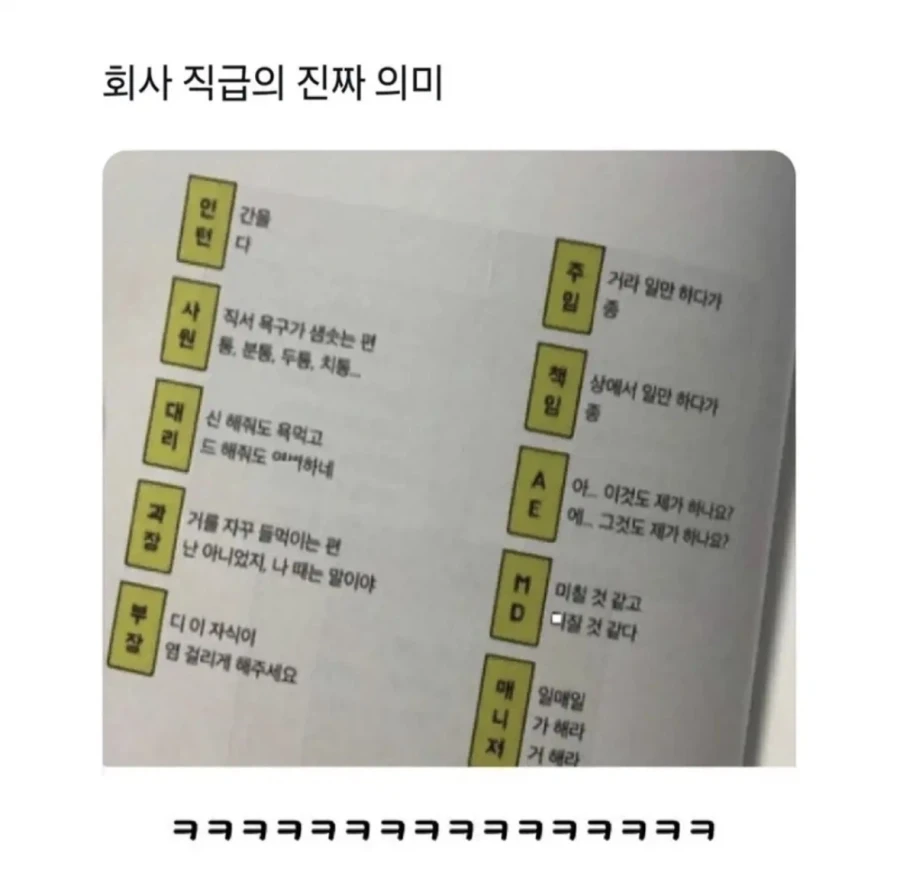 회사직급의 진짜의미_1.webp
