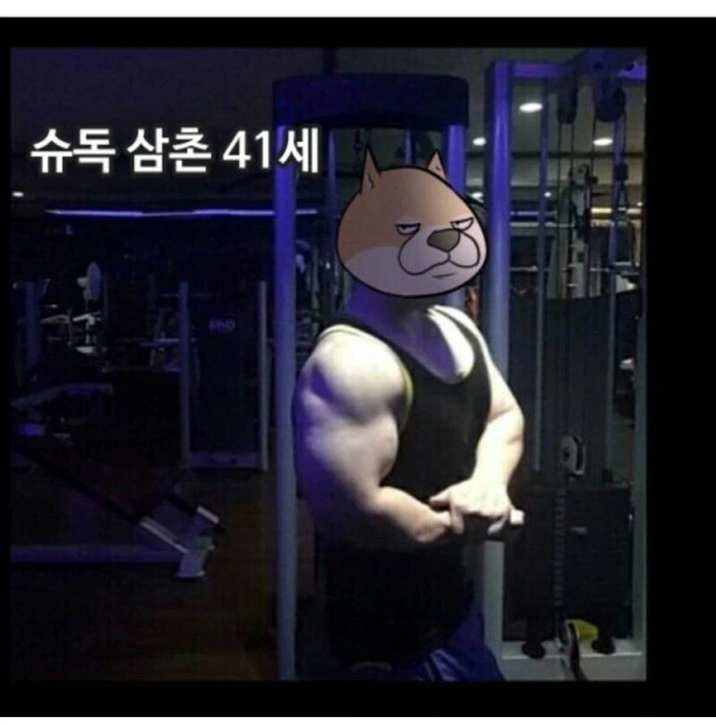 유단자들도 칼 만나면 무서운 만화.manhwa_2.webp