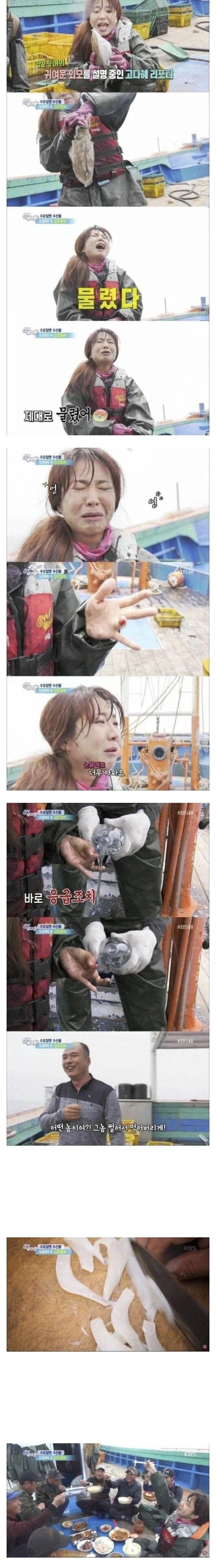 갑오징어한테 물려서 복수하는 리포터 누나_1.webp