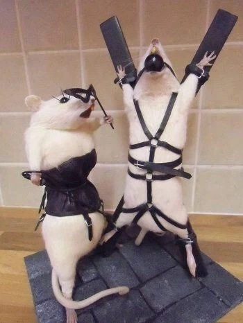 압수수색영장이 들어왔습니다_1.webp
