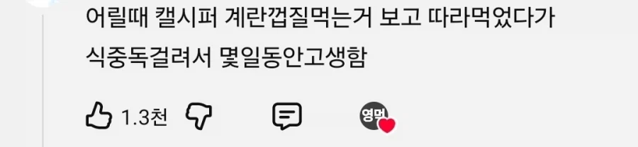 하울) 먹방 씬 따라했다가 식중독 걸려 고생했다는 사람_2.webp