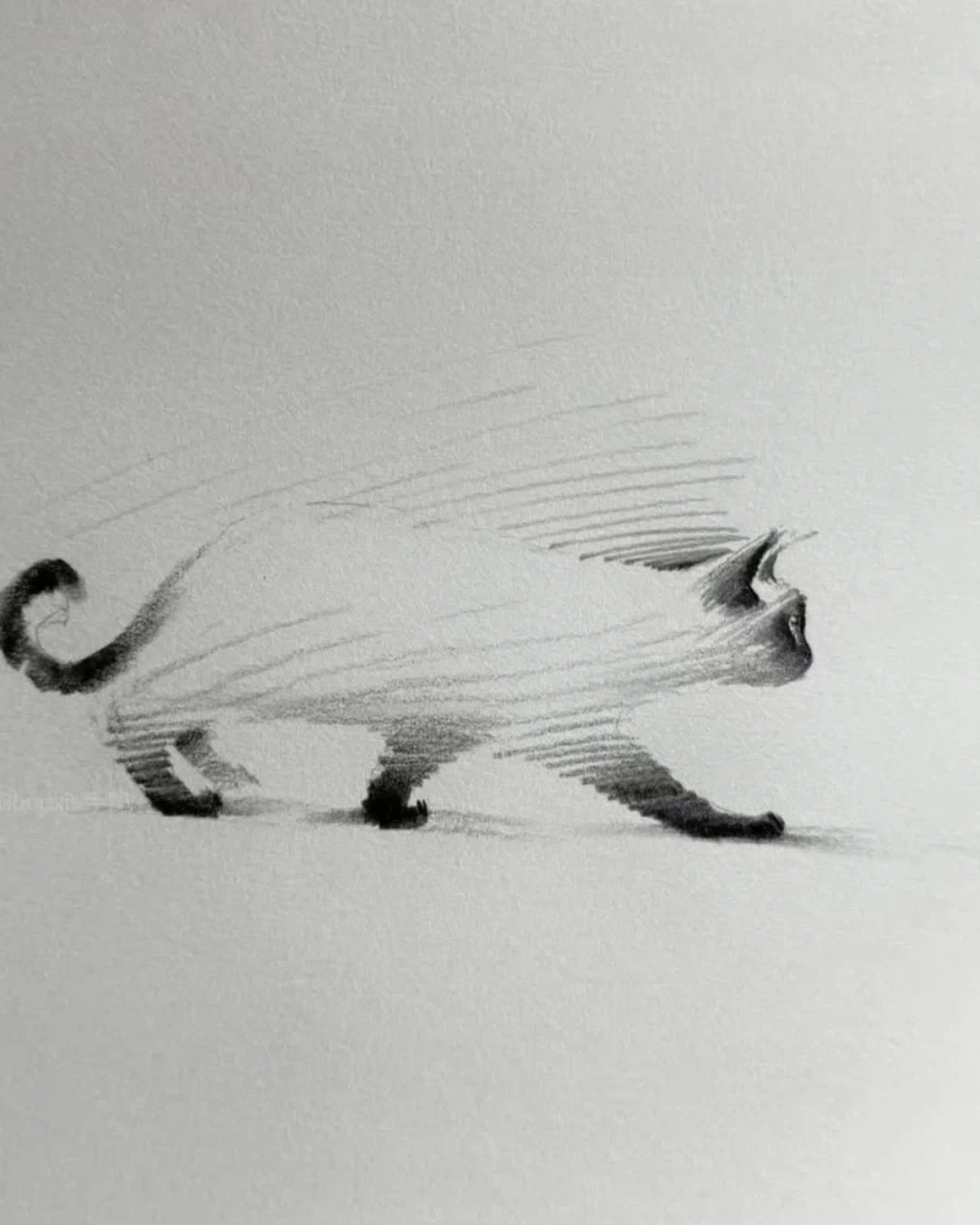 고양이 그림_2.webp
