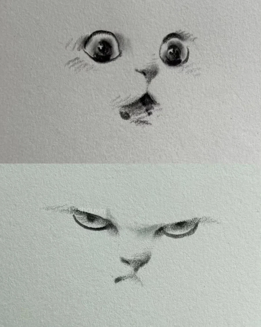 고양이 그림_6.webp