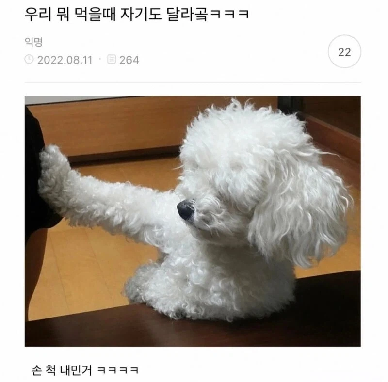우리 뭐 먹을때 자기도 달라고ㅋㅋ_1.webp