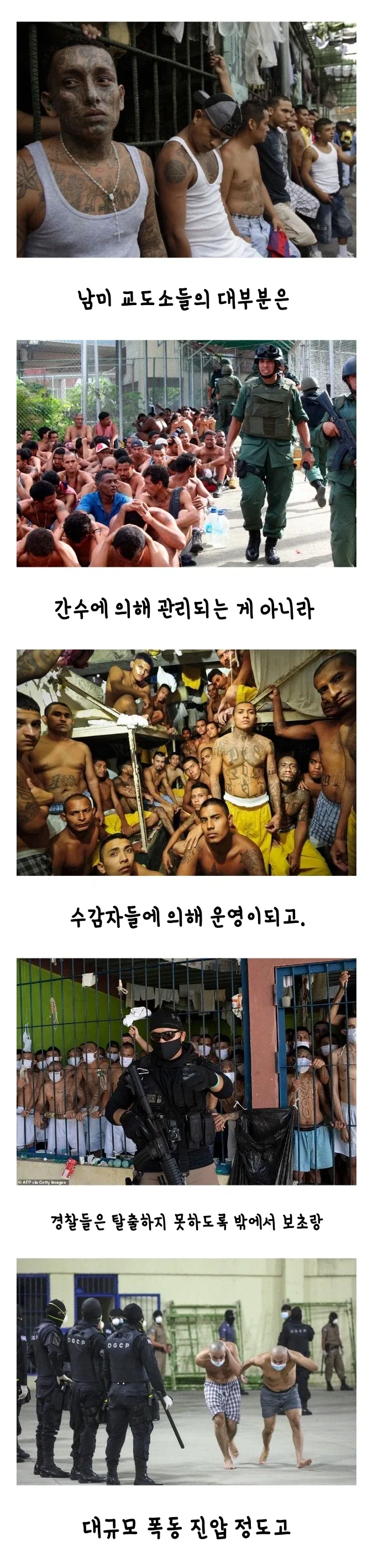 남미 교도소 생태계.jpg_1.webp