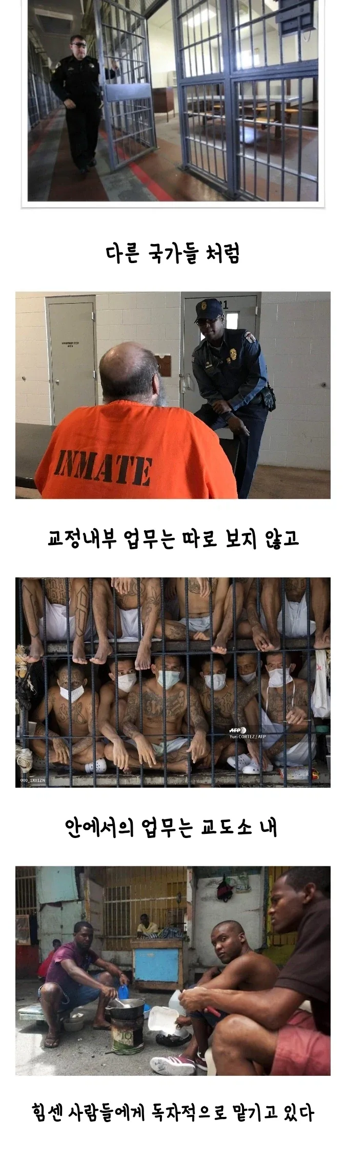남미 교도소 생태계.jpg_2.webp