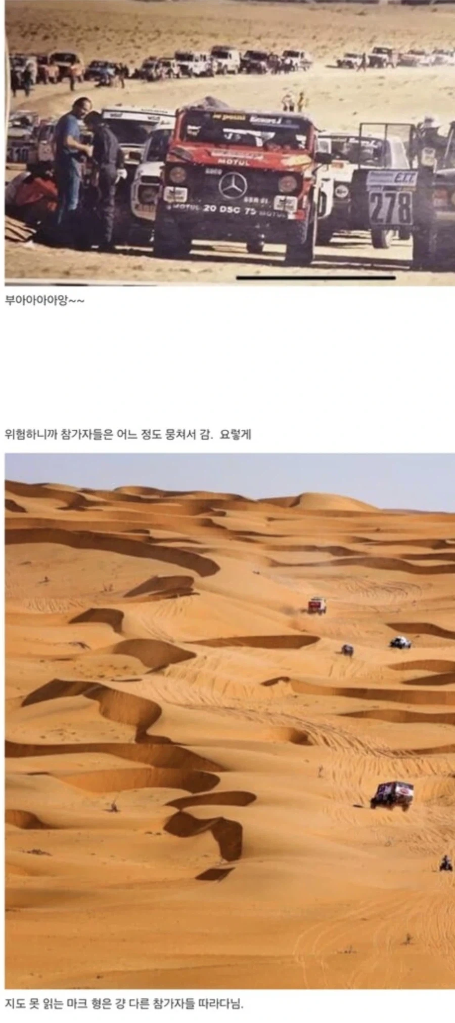 마가렛 대처 아들의 우당탕탕 다카르 랠리_24.webp