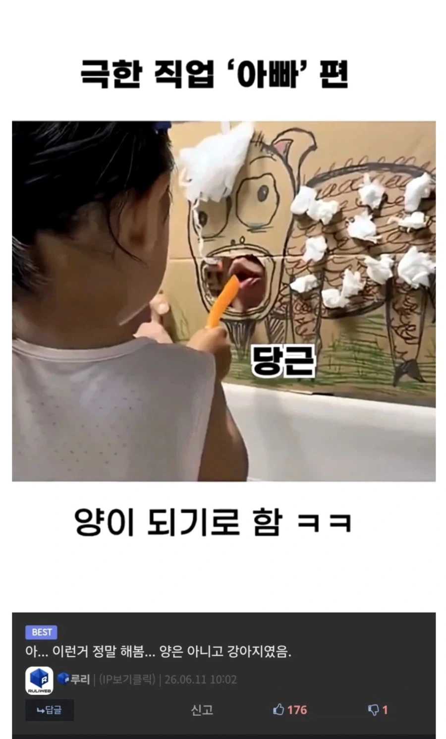 집에서 개처럼 굴었던 적이 있다는 관리자_1.webp