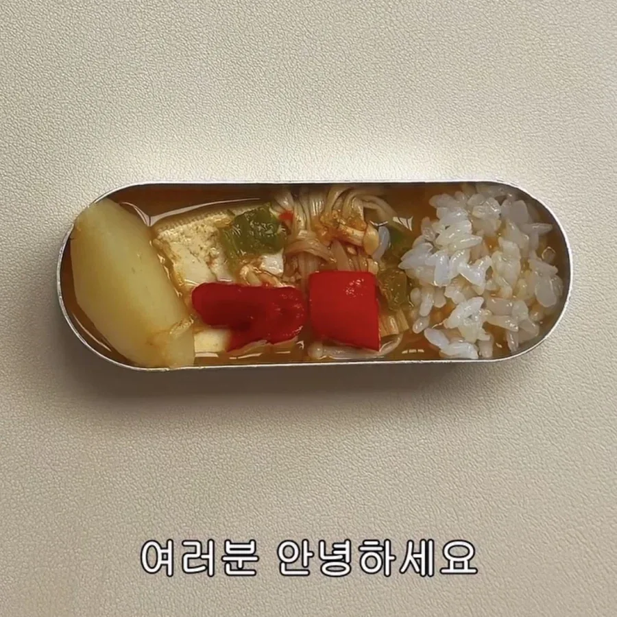 어느 인스타 소식좌의 식사량.jpg_1.webp