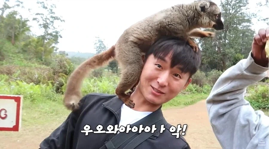 사람이 많이 익숙한 원숭이들_3.webp