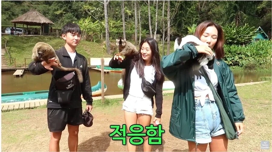 사람이 많이 익숙한 원숭이들_5.webp