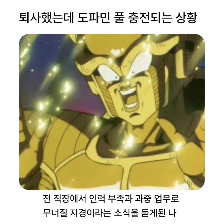 퇴사 후 도파민 풀 충전_1.webp