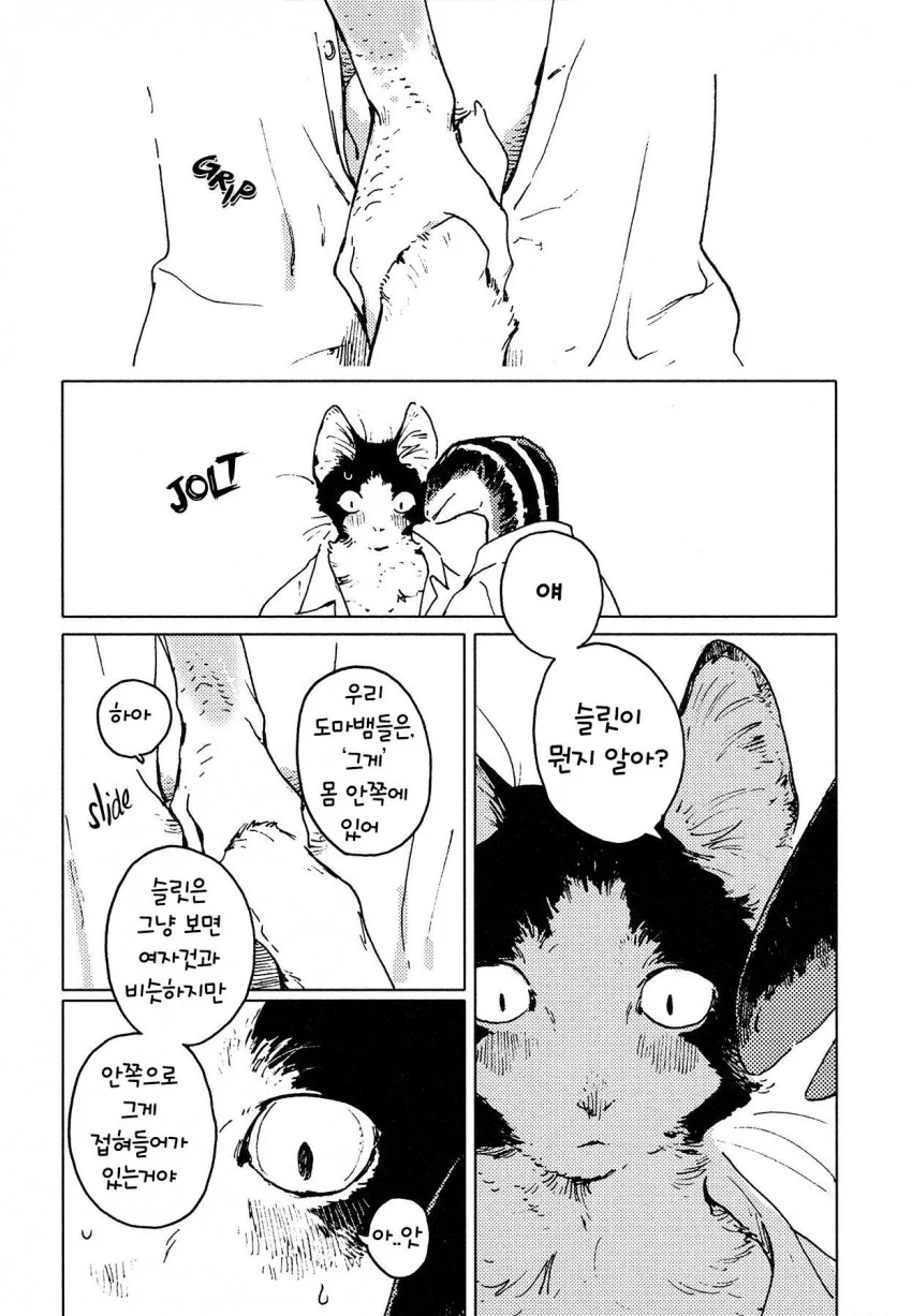 manga_1775878_016.webp