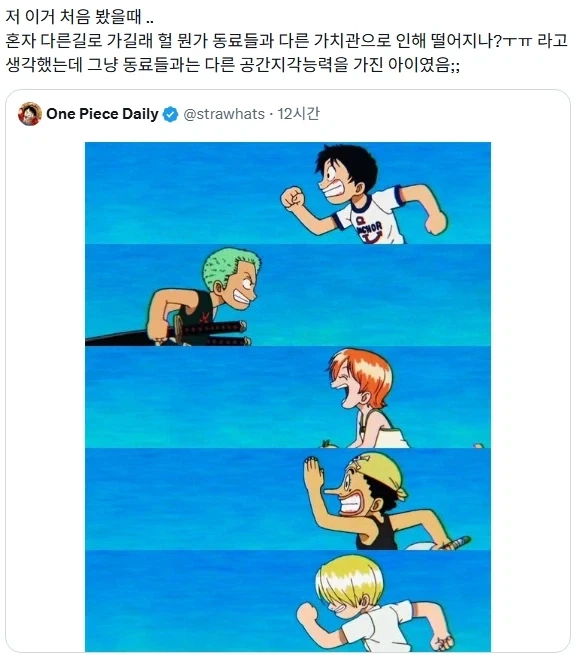 원피스) 다른 만화였으면 치명적인 복선이었을 장면.jpg_1.webp