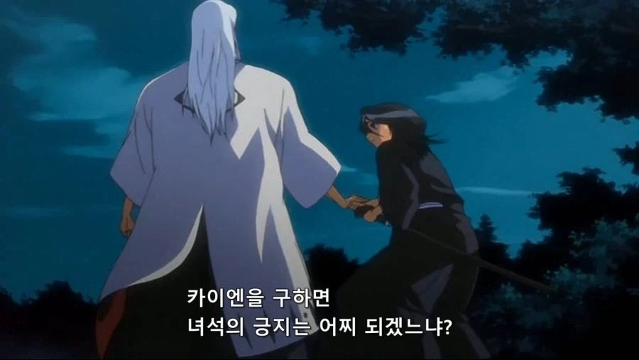블리치)에서 긍지란?_3.webp