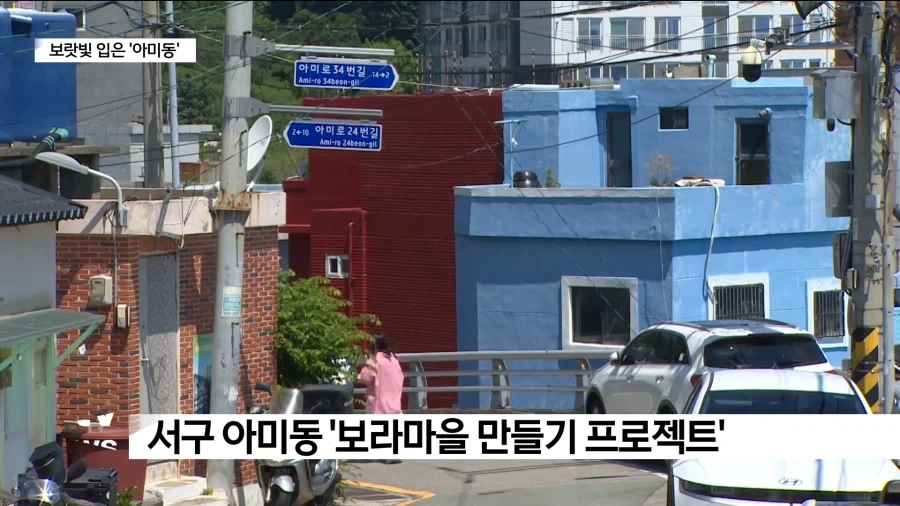 부산 보랏빛 입은