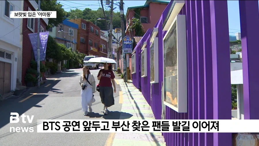 부산 보랏빛 입은
