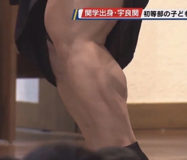 ???:스모선수는 그냥 뚱땡이들 아님?_2.webp
