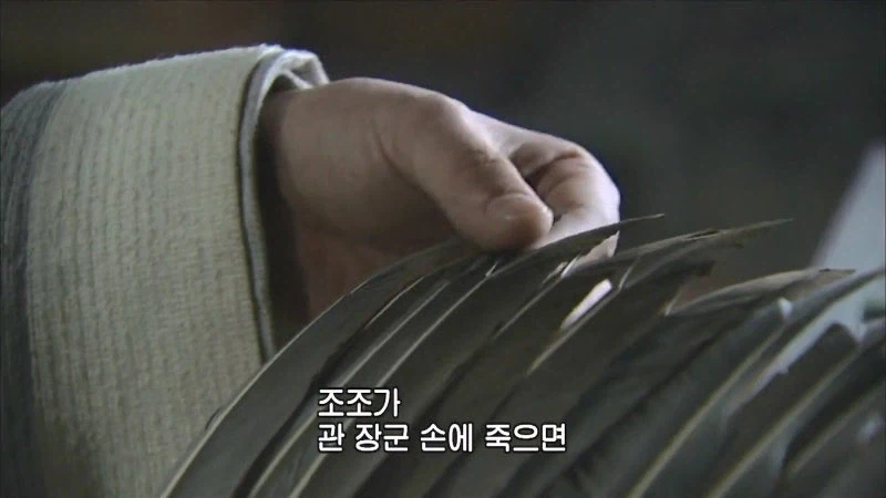 삼국지) 제갈량의 낭심을 울리던 영혼의 파트너_16.webp