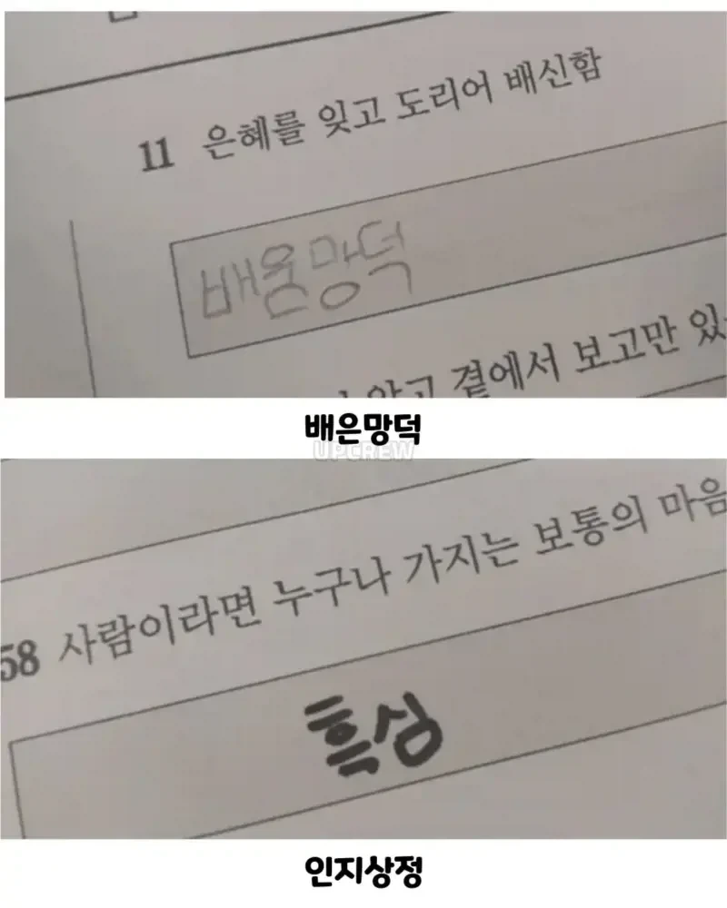 사자성어 시험본 애기들ㅋㅋㅋ_3.webp