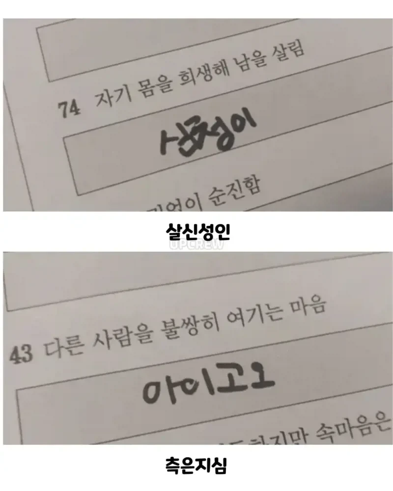 사자성어 시험본 애기들ㅋㅋㅋ_4.webp