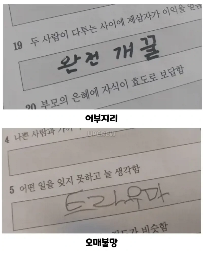 사자성어 시험본 애기들ㅋㅋㅋ_5.webp