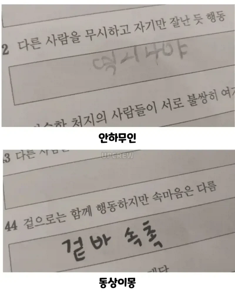 사자성어 시험본 애기들ㅋㅋㅋ_6.webp
