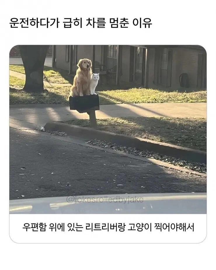 급정거 다발 구간_1.webp
