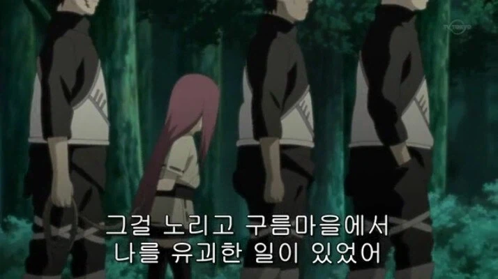 나루토 라이카게에 대한 왜곡된 정보_2.webp
