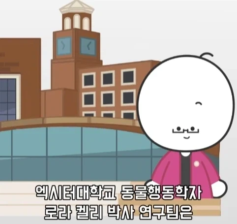 트럭이나 화물차 뒤에 눈알 스티커를 붙이는 이유.jpg_7.webp