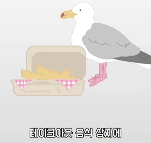 트럭이나 화물차 뒤에 눈알 스티커를 붙이는 이유.jpg_9.webp