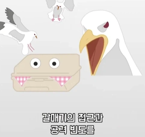 트럭이나 화물차 뒤에 눈알 스티커를 붙이는 이유.jpg_11.webp