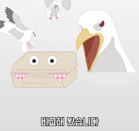 트럭이나 화물차 뒤에 눈알 스티커를 붙이는 이유.jpg_12.webp