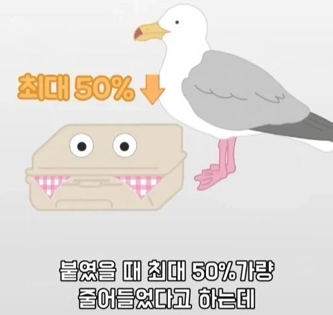 트럭이나 화물차 뒤에 눈알 스티커를 붙이는 이유.jpg_13.webp