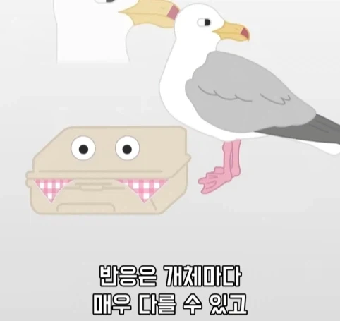 트럭이나 화물차 뒤에 눈알 스티커를 붙이는 이유.jpg_14.webp