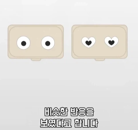 트럭이나 화물차 뒤에 눈알 스티커를 붙이는 이유.jpg_17.webp