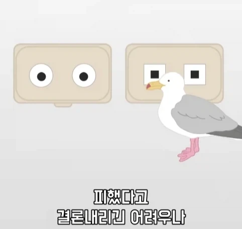 트럭이나 화물차 뒤에 눈알 스티커를 붙이는 이유.jpg_19.webp