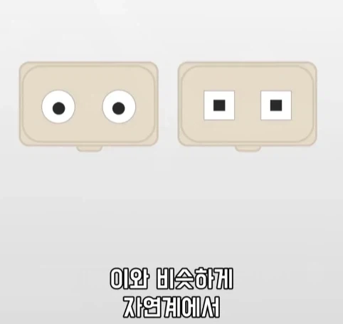 트럭이나 화물차 뒤에 눈알 스티커를 붙이는 이유.jpg_21.webp