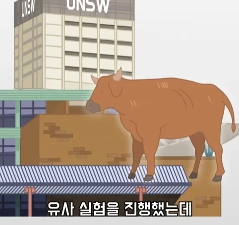 트럭이나 화물차 뒤에 눈알 스티커를 붙이는 이유.jpg_26.webp