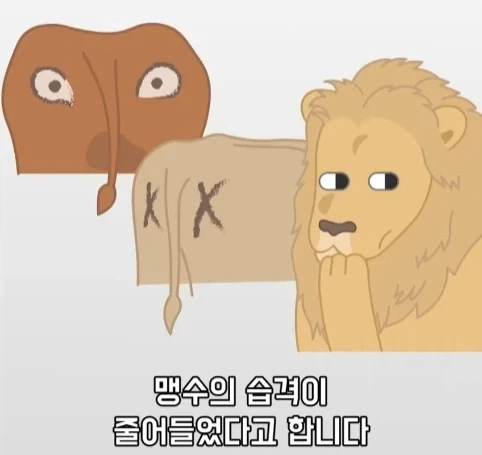 트럭이나 화물차 뒤에 눈알 스티커를 붙이는 이유.jpg_29.webp