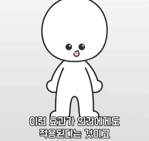 트럭이나 화물차 뒤에 눈알 스티커를 붙이는 이유.jpg_30.webp