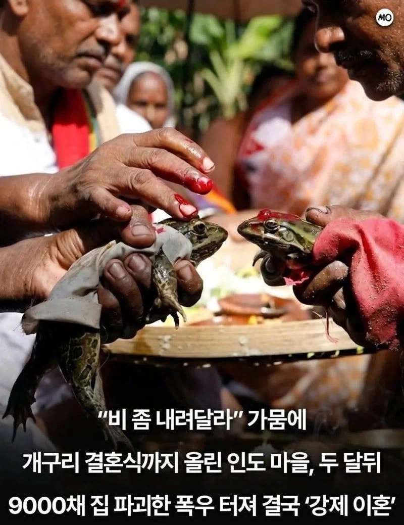 성능 확실한 기우제_1.webp