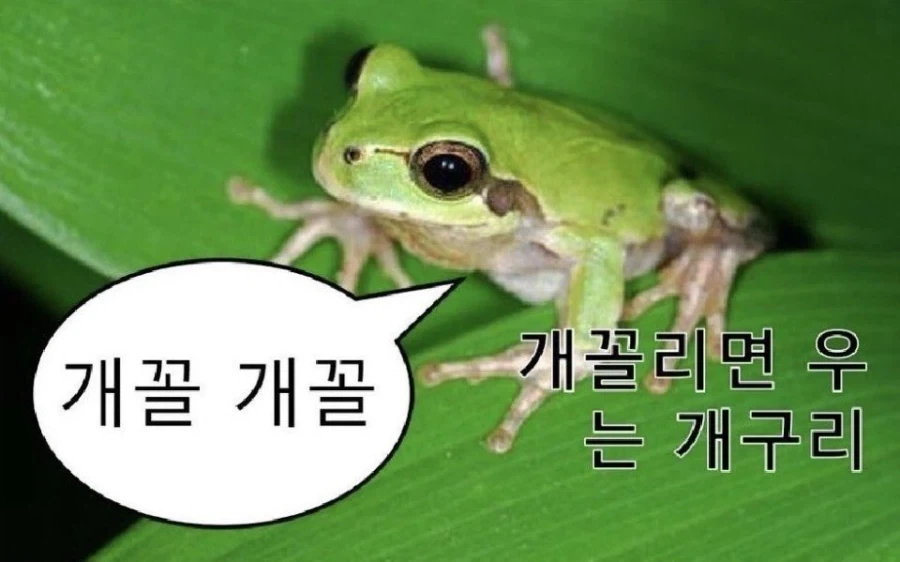 TS착정병동 누마지리 공개됐다_2.webp