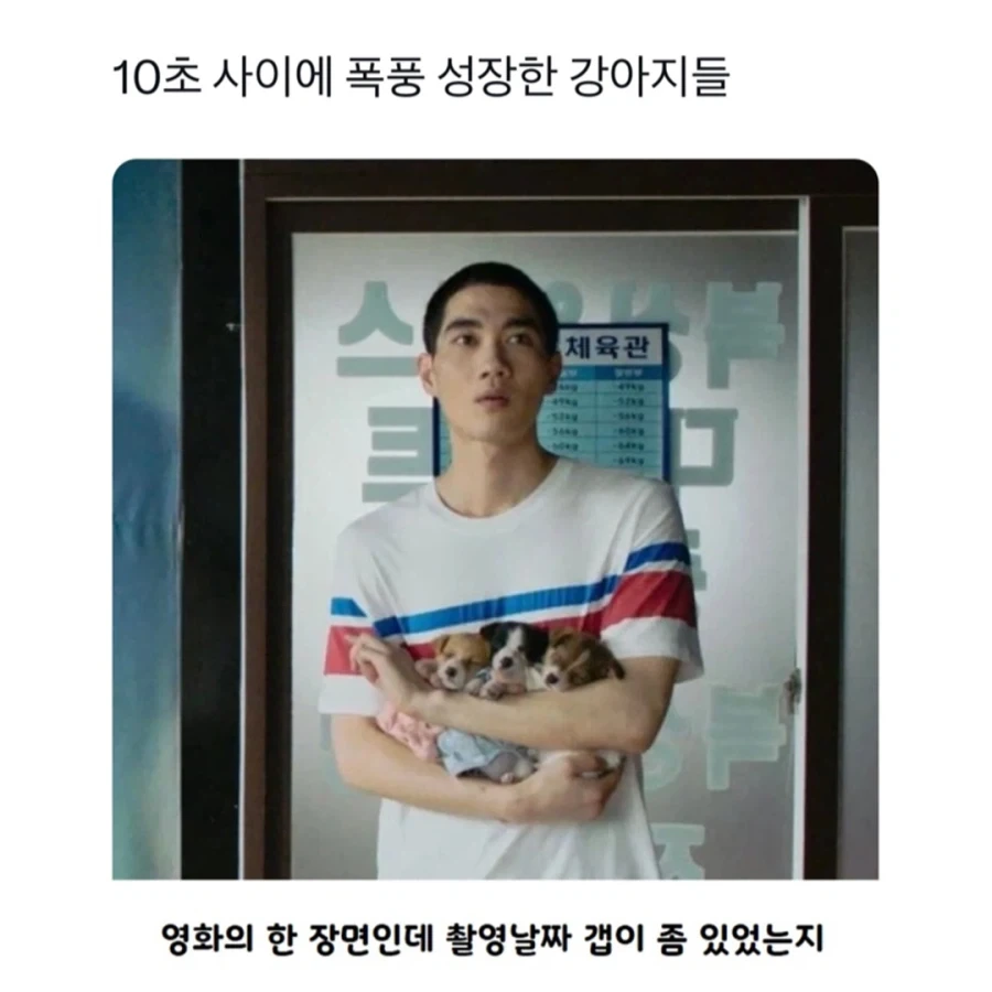 영화 몇 컷만에 폭풍 성장_1.webp