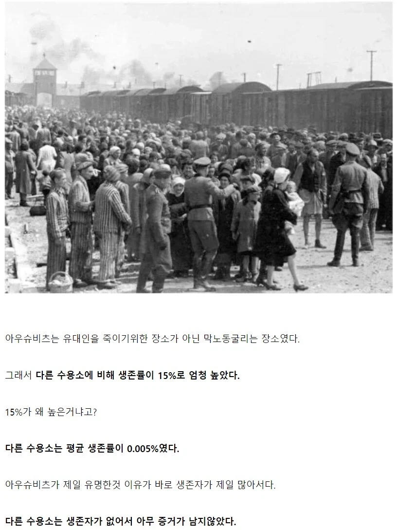 의외로 사람들이 잘모르는 아우슈비츠의 진실 .jpg_2.webp